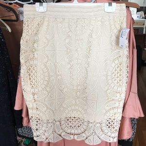 Elegant Ivory Pull-On Lace/ Crochet Skirt   NWT Size M